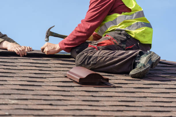 Roof Gutter Cleaning in Anahola, HI