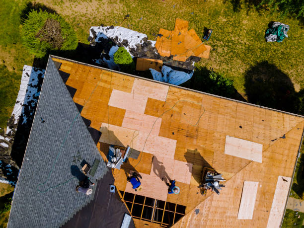 Best Roof Repair Services  in Anahola, HI