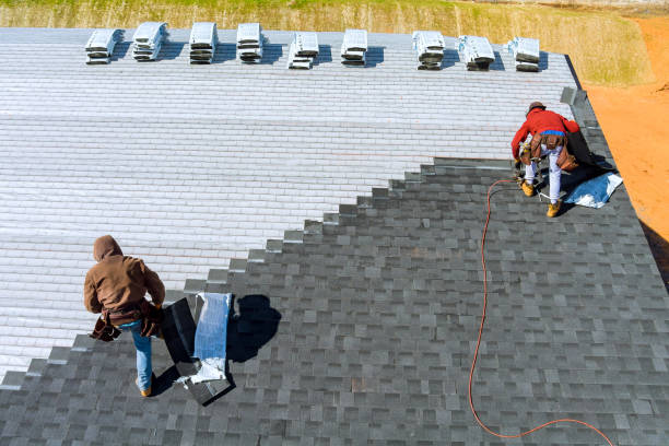 Best Roof Gutter Cleaning  in Anahola, HI