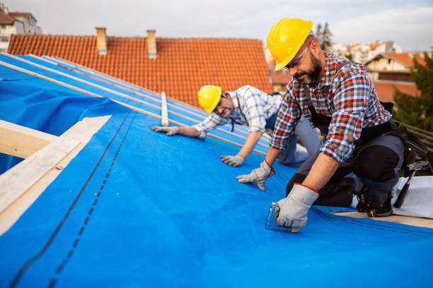 Best Roof Maintenance Services  in Anahola, HI